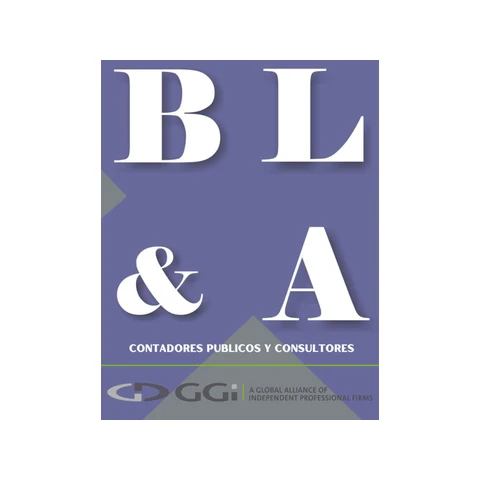 Barajas Luján y Asociados (BL&A), Contadores Públicos y Consultores